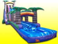 Cliquer pour agrandir